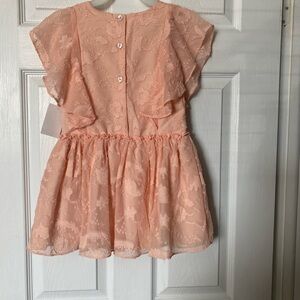 Pippa & Julie Coral Lace Flutter Sleeve Dress